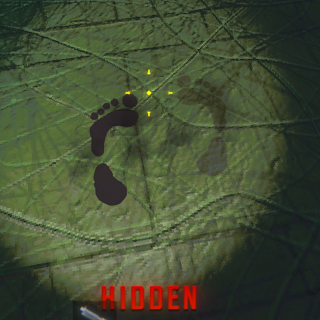 Hidden