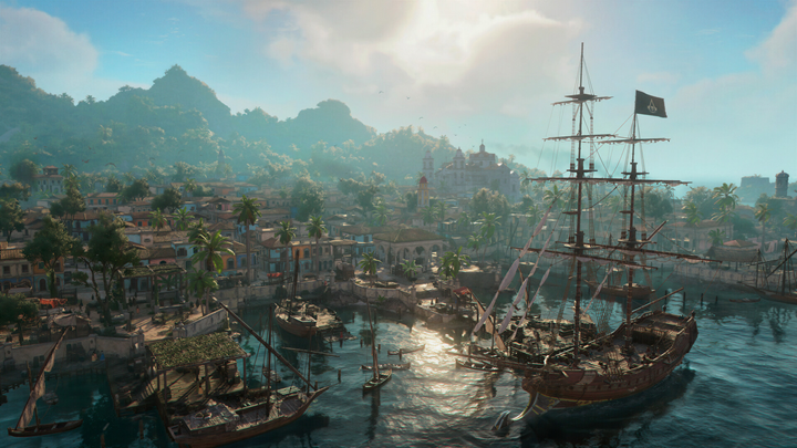 The Harbor