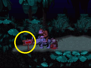 Donkey Country Arrow