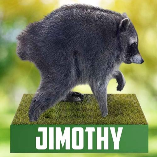 Jimothy the Raccoon