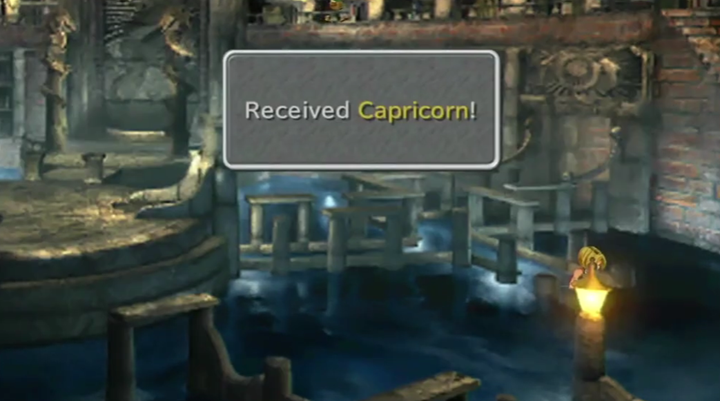 Capricorn Coin